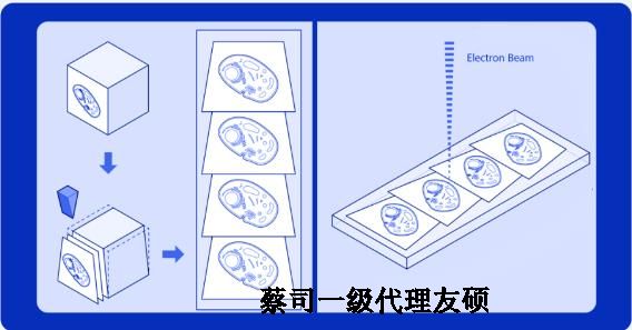 阿里蔡司阿里扫描电镜