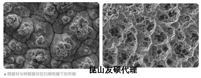 阿里蔡司阿里扫描电镜