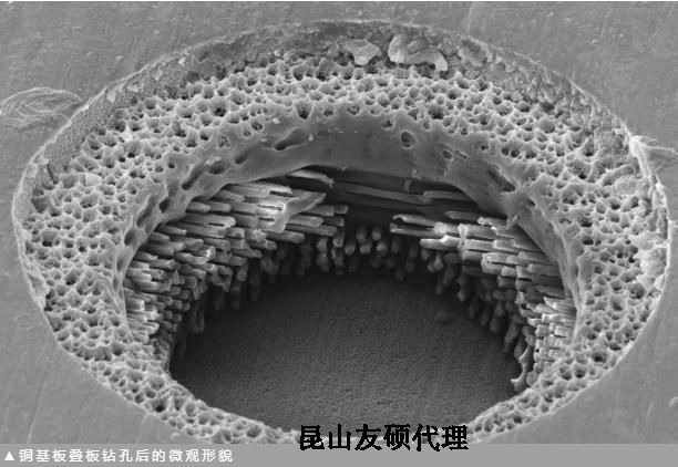 阿里蔡司阿里扫描电镜